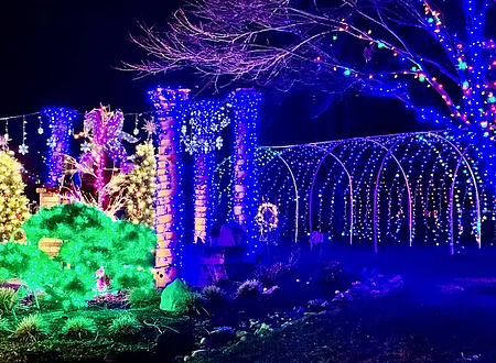 202512201159343_image1